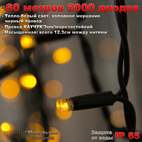     60  IP65 2000 LED  ( )     -     , -,   