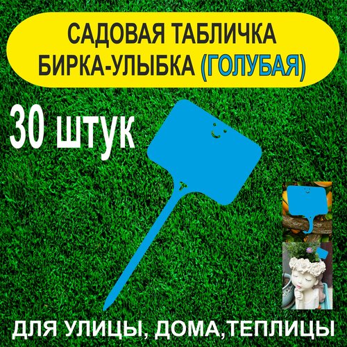 ������ ������ ������� ����� - ������. �������� ��� ��������. 30 ���� (�������) ����