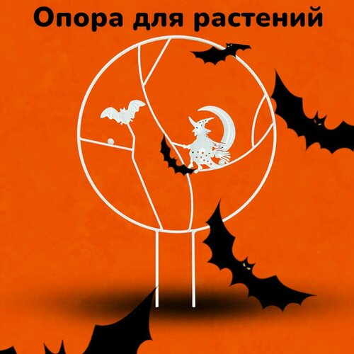 ������ ������ ������� ��� ������ ������� ����