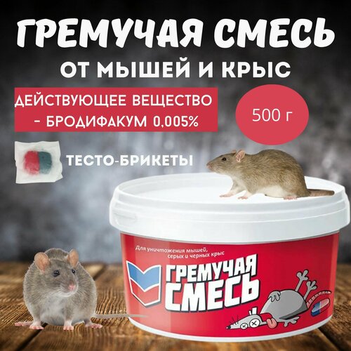 ������ ������ �������� ��� ����������� ����� � ���� �������� �����, ���� �����-�������, 500 � ����