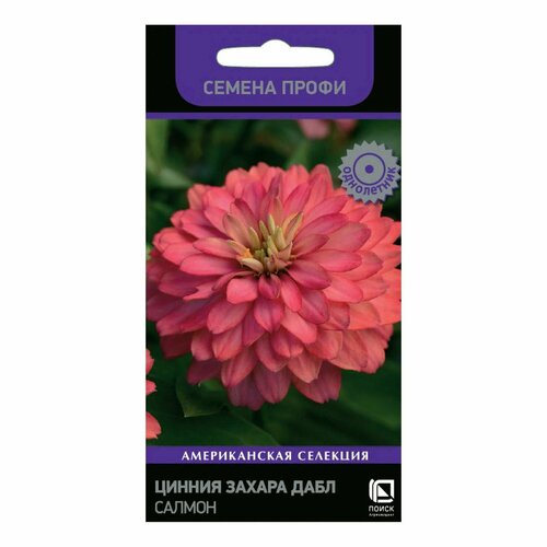 ������ ������ ������ ����� ������ ���� ������ 5 ��. ����