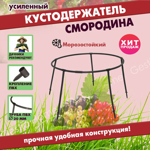 ������ ������ �������������� ��������� ��������� ������� �����������, ����� ��� �������� Gestia Home ����