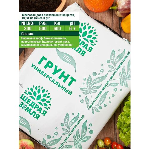 ������ ������ ����� ������������� ������ �����, 10� ����