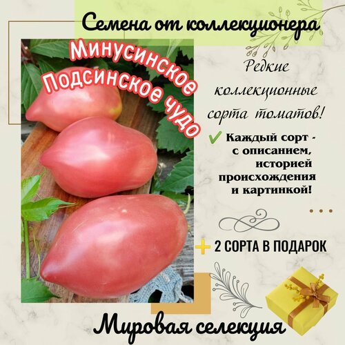 ������ ������ ����� 