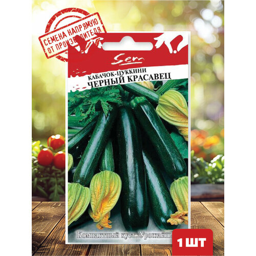 ������ ������ ������ ������� ������� ������ �������� ����