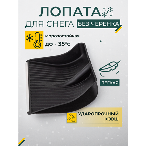 ������ ������ ������ ��� ����� ��� �������, ������ �������������, � ������� ���������, ������ ����