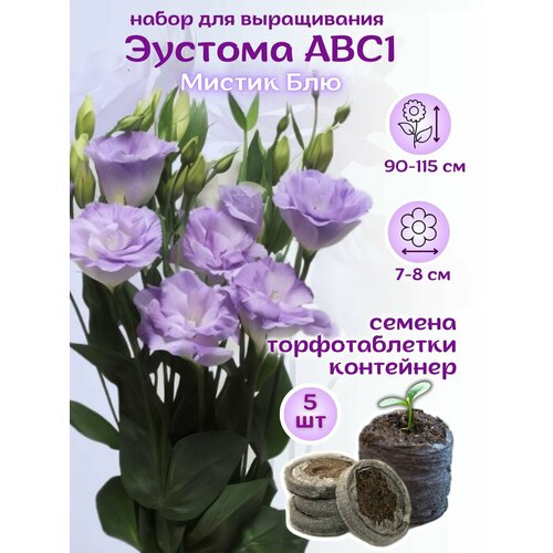 ������ ������ ������ ������� ������ ��� ��������� + �������� ��������, 5��, ����� ��� ����������� ����