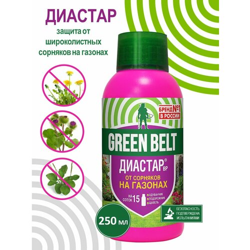 ������ ������ �������� �� �������� GREEN BELT 