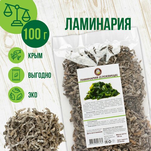 ������ ������ ��������� ������� �������, ��������, 100�� ����