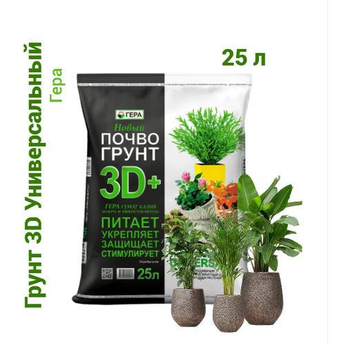 ������ ������ ����� (�����) ������������� ���� 3D+ ��� ��������� �������� � ������ 25 �. ����