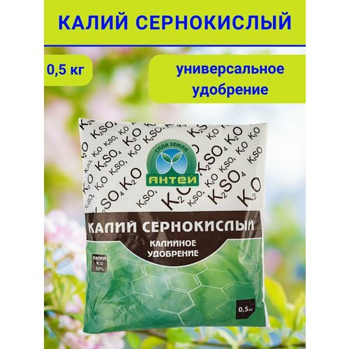 ������ ������ ��������� ����� �����������, 0.5 ��. ����