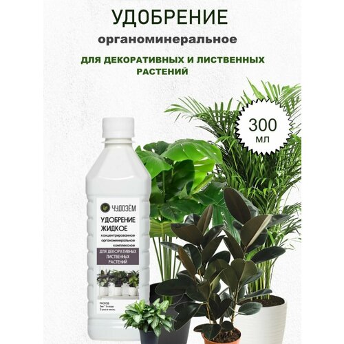 ������ ������ ������ ��������� ��� ������������ � ���������� , 0,3 � ����