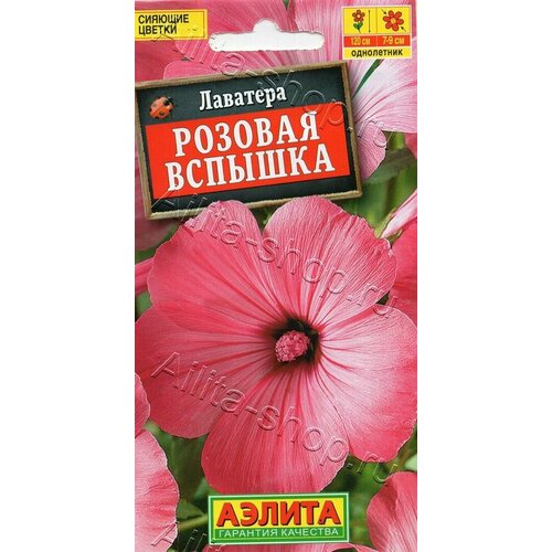 ������ ������ ������ �������� ������� ������� 0,3� (������) ����