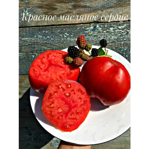 ������ ������ ������������� ������ ������ ������� �������� ������ ����