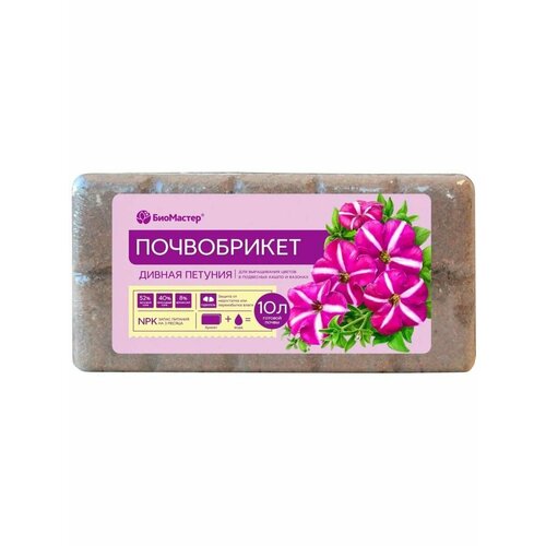 ������ ������ ����������� ������ ������� 10 � ��������� ����