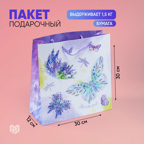 ������ ������ ����� ���������� ������ ������� ���������� ��������, 30 x 12 x 30 ��, ����������/����� ����