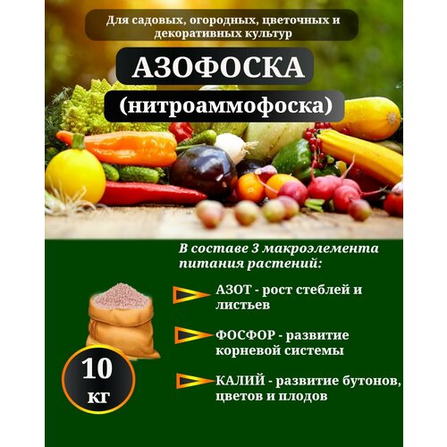 ������ ������ ����������� ����������� ��������� 