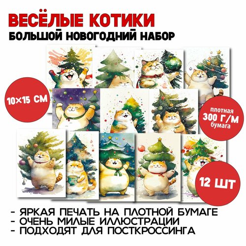 ������ ������ ���������� ������: �����-����� �� 12 �������� ��� �������������� ������������, �������������, � �������� ���������� ����