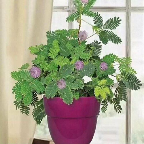 ������ ������ ������ ���������, ���������, ���������, ������ ����