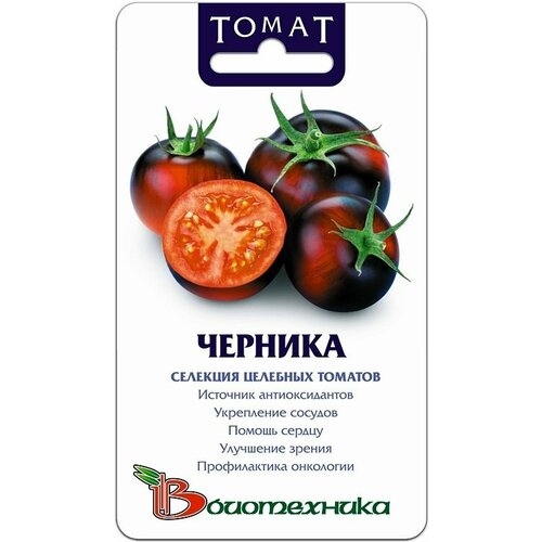 ������ ������ ����� ������� 20��. (����������. ������ �� ���������) ����