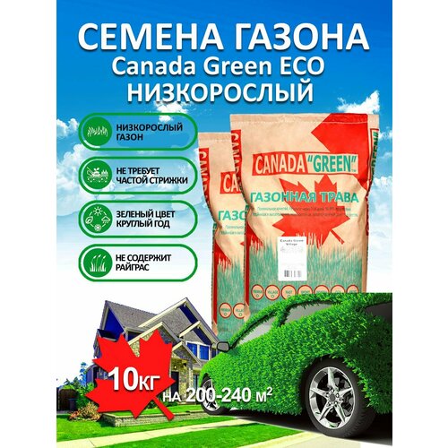������ ������ �������� ����� ������ ������ ���� ����������� ECO 10 ��/ ������, �������� ������ ����