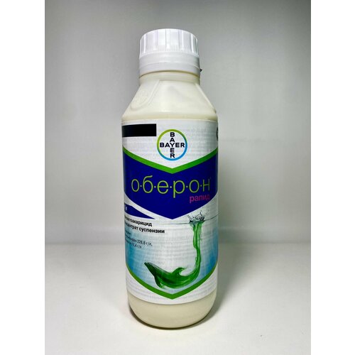 ������ ������ ������ ����� 50 �� (������ �������) ����