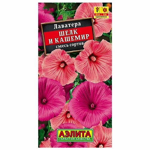 ������ ������ ������� �������� 