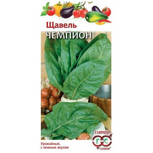 ������ ������ ������. ������ 