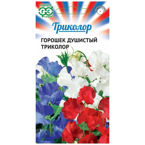 ������ ������ ������. �������� ������� 