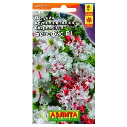 ������ ������ ������� ����������� ��������������� ������� F1 ( 3 �������� ) , ������ ����