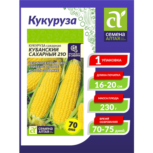 ������ ������ ������ �������� ��������� �������� 210 ����������� 5 ��. ����