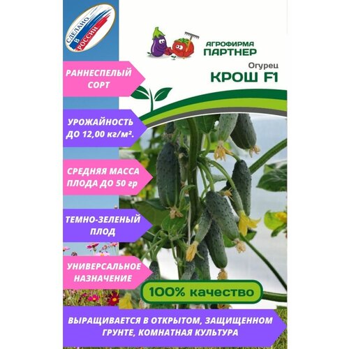 ������ ������ ������ ������ 