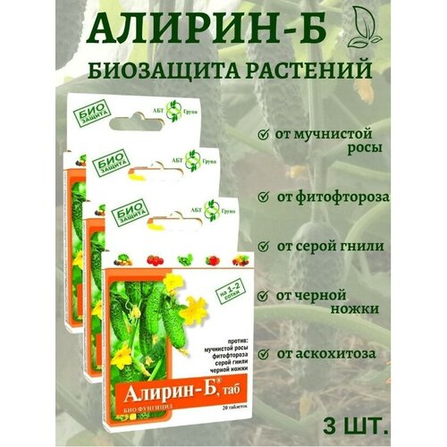 ������ ������ ����������������� �������� ������ � �������� �� ������ ������ ����� ��������� ���� ����������� 20 �������� 3 �� ����