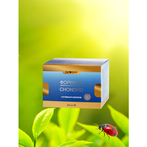 ������ ������ �������� ������� ������� ������� CHONDRO� ����