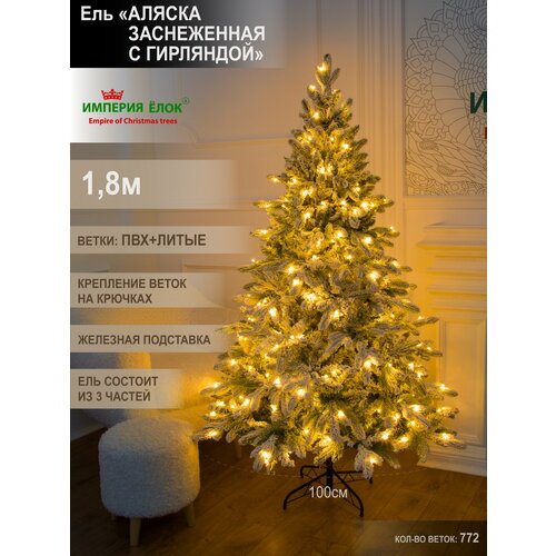 ������ ������ ���� ������������� ���������� ����������� � ��������� 180�� ����