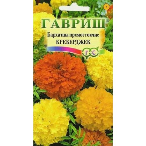 ������ ������ ������ �������� ������������ ���������� 0,3� 70�� (������) ����