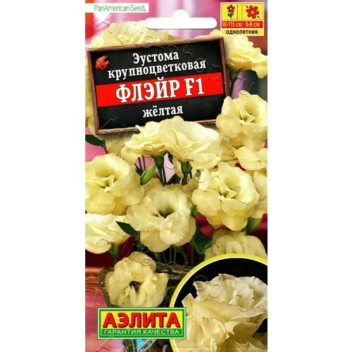 ������ ������ ������� ��������������� ����� ������ F1 ( 1 �������� ), ������ ����