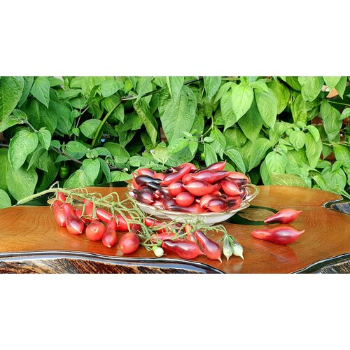 ������ ������ ������ ������ ������� ������� ���� (Kumquat Pink Opal) / Seeds And Goods / � �������� zip-lock ��� ���������� 10 ����� ����