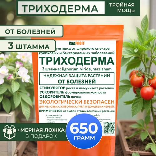 ������ ������ ���������� 3 ������, 650 � ����