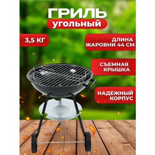 ������ ������ ����� �������� ��� ���� � �������, ������� � �������, ������� ������� 44 �� ����