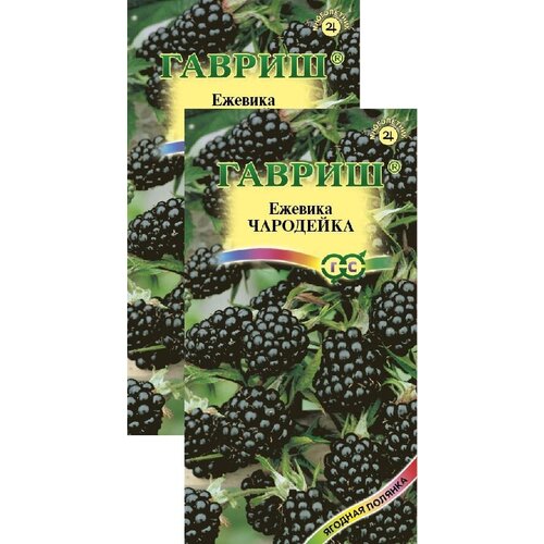 ������ ������ ������� ��������� (10 �����), 2 ������ ����