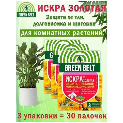 ������ ������ ����� ������� �������, ��������� ��� ��������� ��������, 3 �������� ����