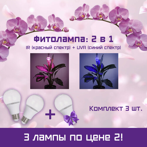    ,       LED, IR -  ( ), ,14 , 27,  3 .   -     , -,   