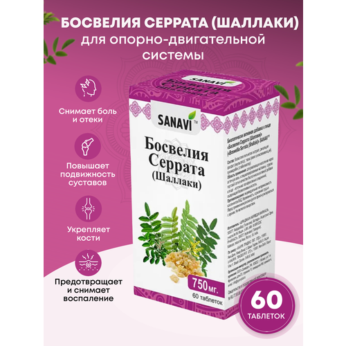 ������ ������ �������� �������, 60 ��� ����