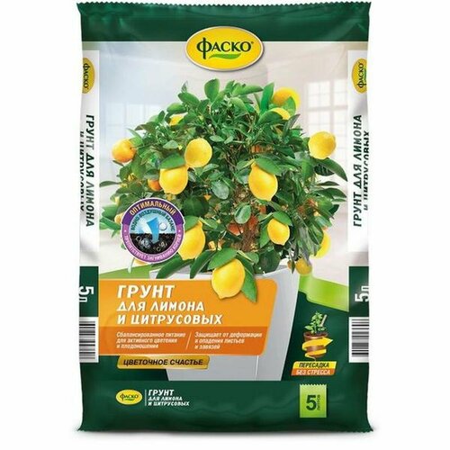 ������ ������ ����� ��������� ������� ��� ���������� 5� ����� ����