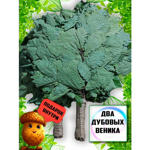 ������ ������ ������ ��� ���� ������� ����