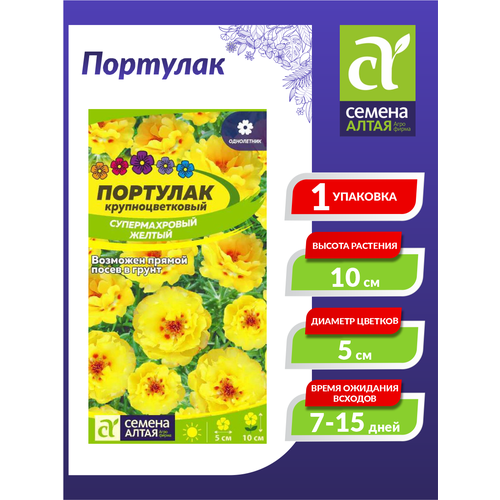 ������ ������ ������ �������� ������������� ������ ���������� 0,1 ��. ����