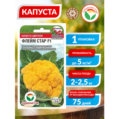 ������ ������ ������ ������� ������� ����� ���� F1 10 �� (��� ���) ����