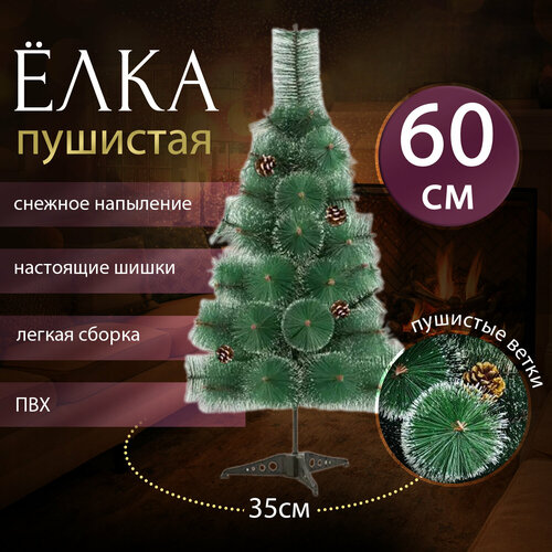 ������ ������ ���� ������������� �� ��� ����������� � ������������ �������. ������ 60 ��. ����