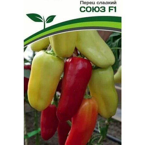 ������ ������ ������������� ������ ����� �������� ���� F1 ����